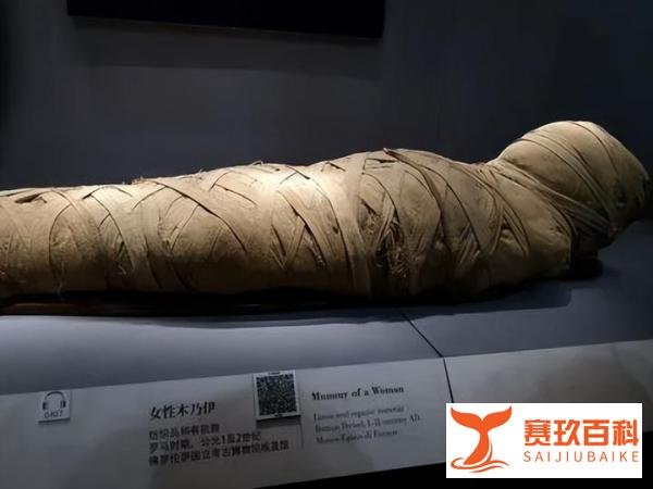 全球首例!怀孕木乃伊现世,胎儿7个月大,尸体能“生”出孩子吗