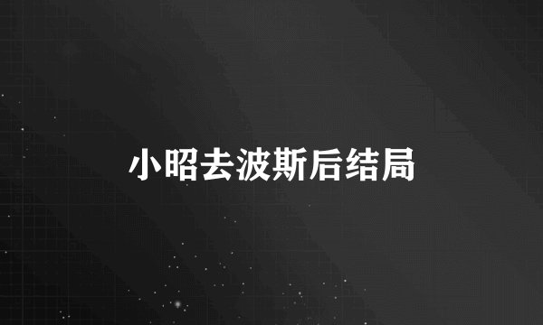 小昭去波斯后结局