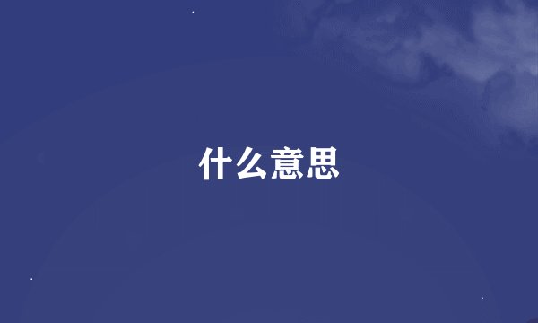 什么意思