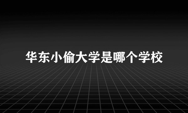 华东小偷大学是哪个学校