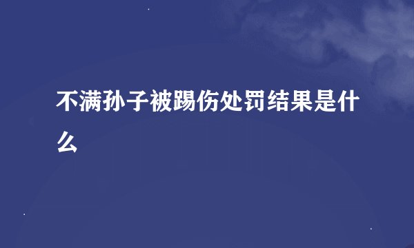 不满孙子被踢伤处罚结果是什么