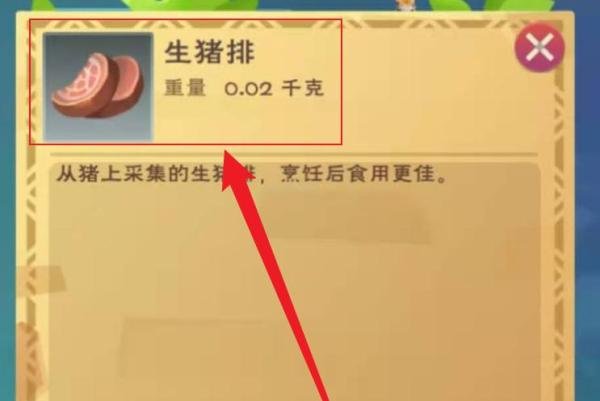 创造与魔法怎么制作猪肉饭团