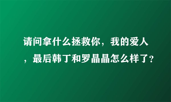 请问拿什么拯救你，我的爱人，最后韩丁和罗晶晶怎么样了？