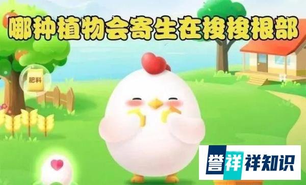 哪种植物会寄生在梭梭根部？寄生在梭梭树根上的植物是什么？蚂蚁庄园今日答案