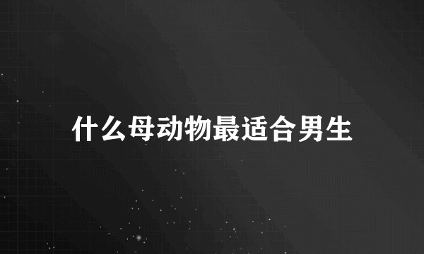 什么母动物最适合男生