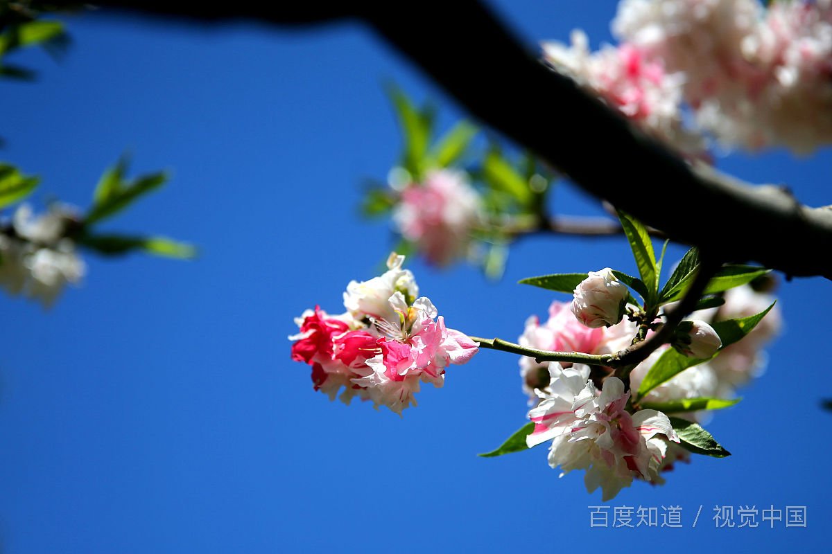 什么是随和？