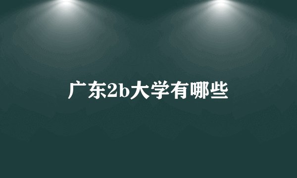 广东2b大学有哪些