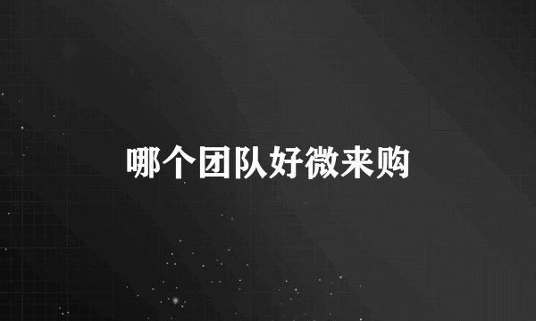 哪个团队好微来购