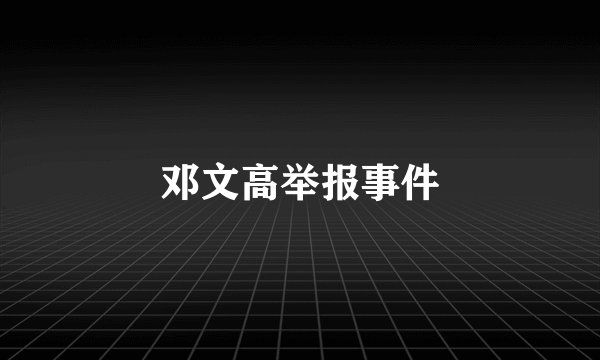 邓文高举报事件
