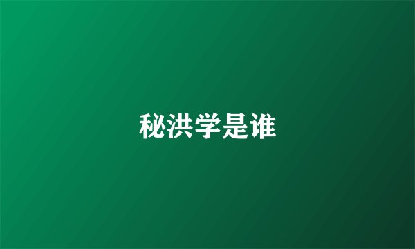 秘洪学是谁
