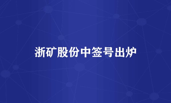 浙矿股份中签号出炉