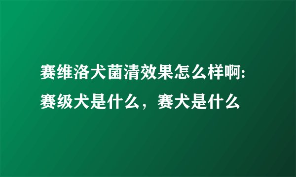 赛维洛犬菌清效果怎么样啊:赛级犬是什么，赛犬是什么