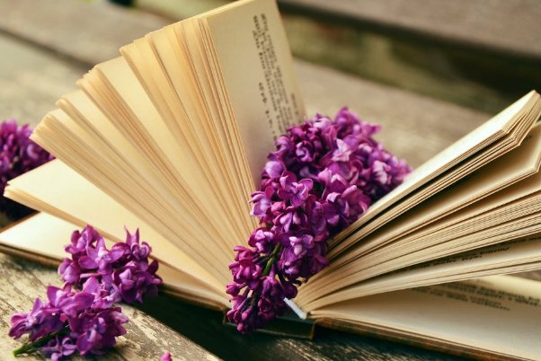 双桂联芳打个数字是几