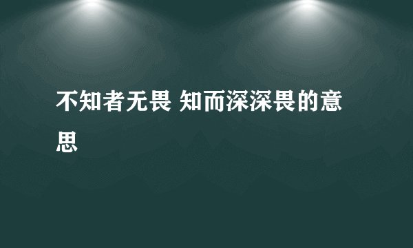 不知者无畏 知而深深畏的意思