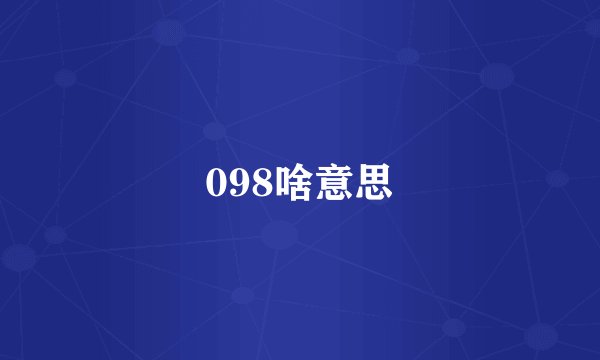 098啥意思