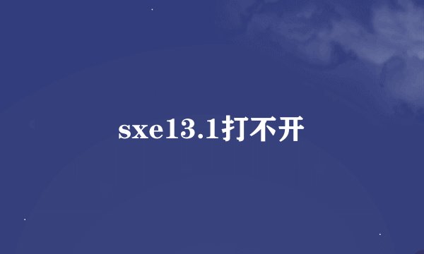 sxe13.1打不开