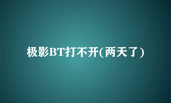 极影BT打不开(两天了)