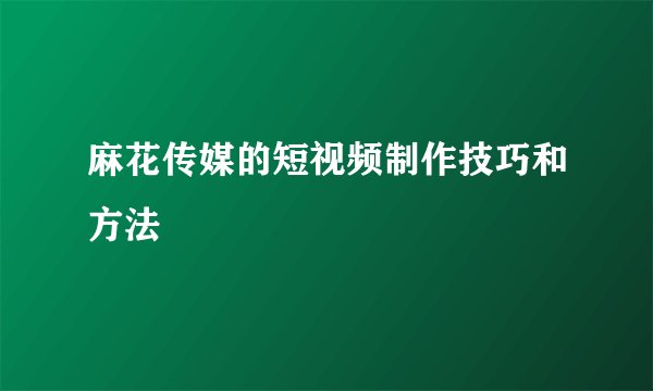 麻花传媒的短视频制作技巧和方法
