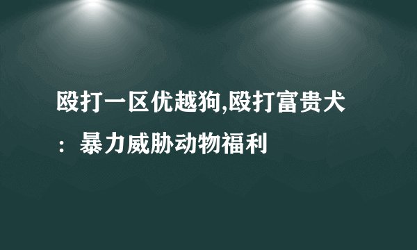 殴打一区优越狗,殴打富贵犬：暴力威胁动物福利