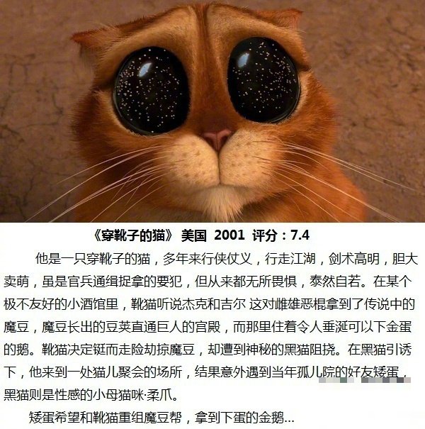 潮湿的猫电影演员表