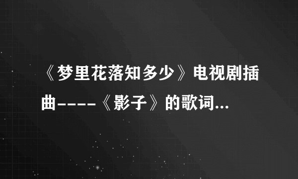 《梦里花落知多少》电视剧插曲----《影子》的歌词是什么？