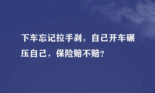 下车忘记拉手刹，自己开车碾压自己，保险赔不赔？