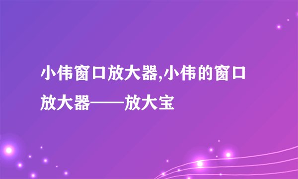小伟窗口放大器,小伟的窗口放大器——放大宝