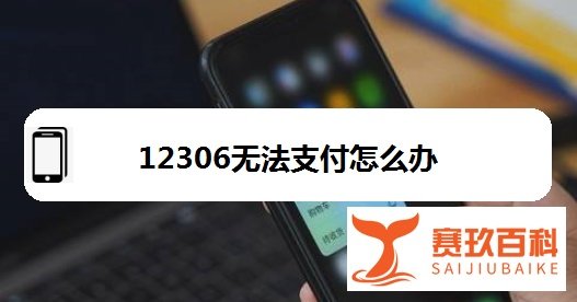 12306无法支付怎么办