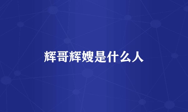 辉哥辉嫂是什么人