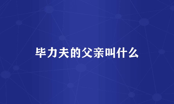 毕力夫的父亲叫什么