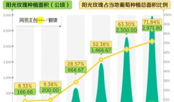“葡萄中的爱马仕”价格从百元价位掉入十元，果农：亏了十多万！