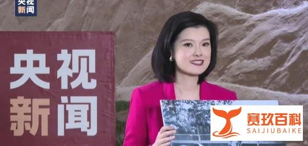 老红军隐蔽14年不说话 这是咋情况?