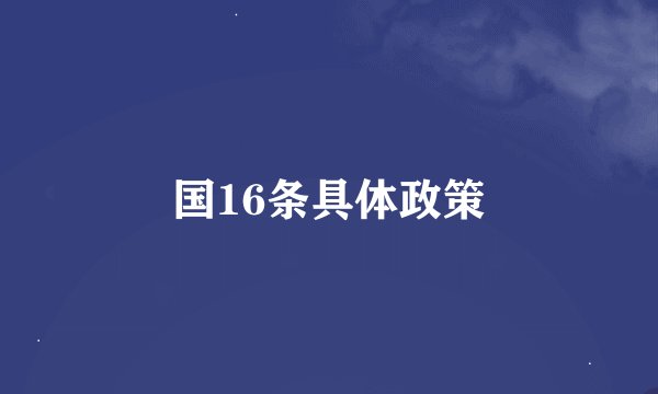 国16条具体政策