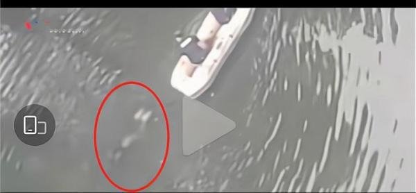 今天，湖南涉外经济学院跳湖女生的姐姐首次发声：我妹妹刚流产