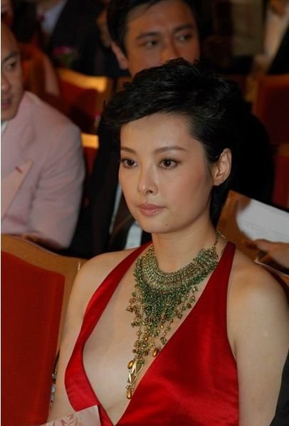 袁丽的影视演员