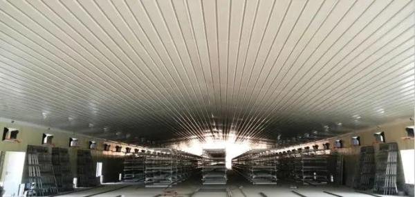 新建一个40万羽蛋鸡养殖场，究竟需要投资多少钱？