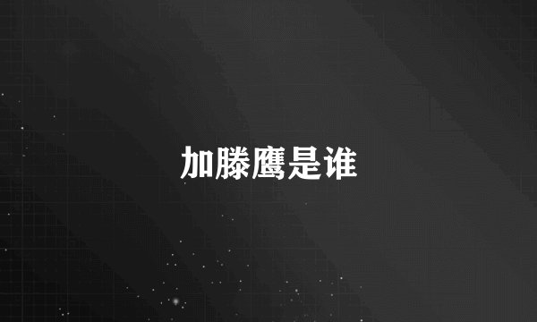加滕鹰是谁
