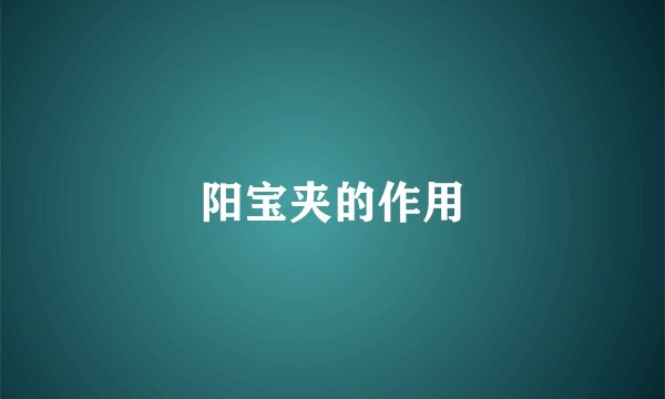 阳宝夹的作用