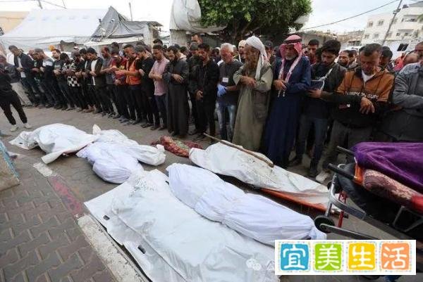 巴勒斯坦难民营的120条生命，隐藏了这些秘密...