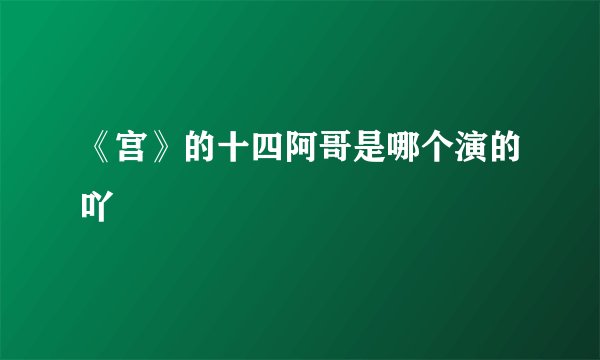 《宫》的十四阿哥是哪个演的吖