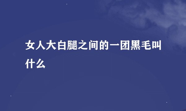 女人大白腿之间的一团黑毛叫什么