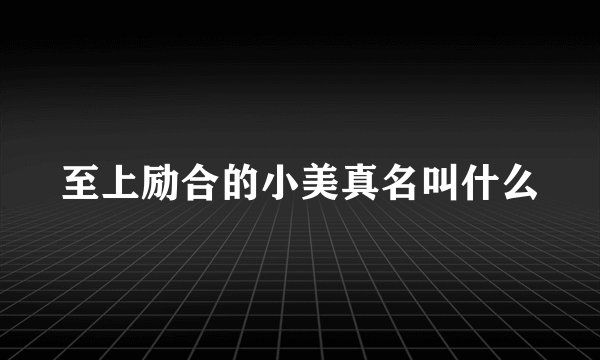 至上励合的小美真名叫什么
