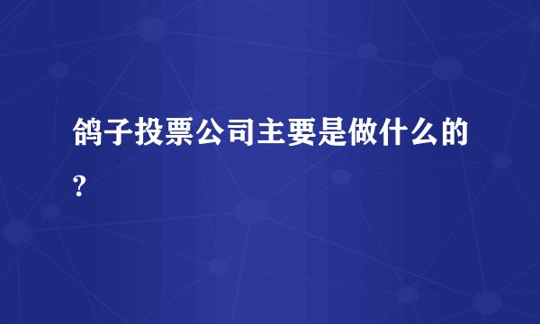 鸽子投票公司主要是做什么的?