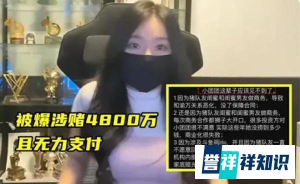 小团团被判8年，涉嫌金额4800万，金额太大公司也无能为力