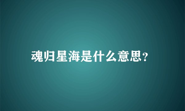 魂归星海是什么意思？