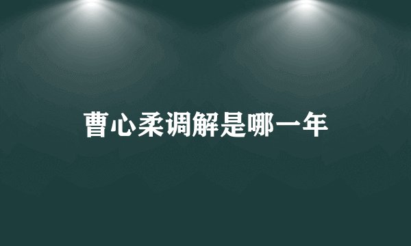 曹心柔调解是哪一年
