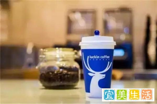 瑞幸:2019年我们将全面超过星巴克!亏损8亿也要继续补贴
