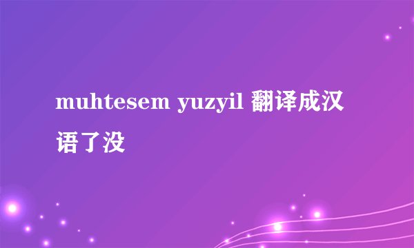 muhtesem yuzyil 翻译成汉语了没
