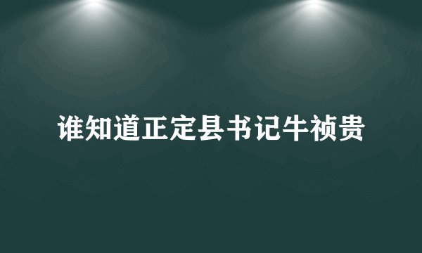 谁知道正定县书记牛祯贵