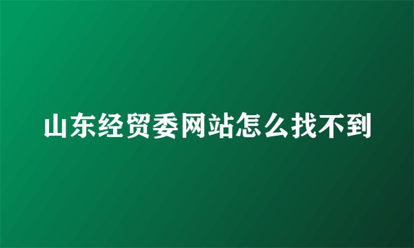 山东经贸委网站怎么找不到
